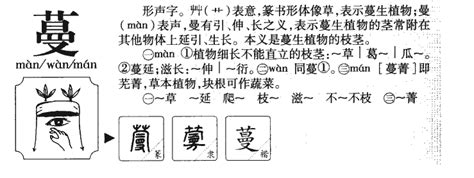 蔓名字意思|蔓字取名的含义是什么